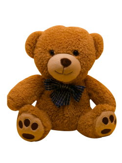 Teddy bear PNG Transparent image