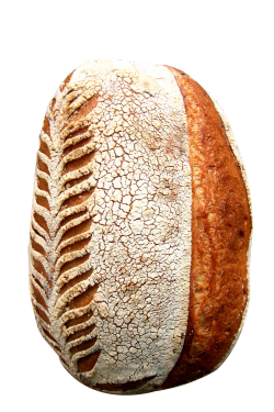 bread PNG Transparent Image