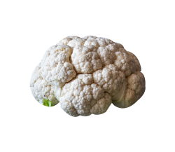 cauliflower PNG Transparent image