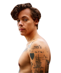 Harry Styles PNG Transparent image